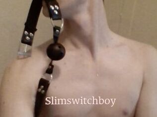 Slimswitchboy