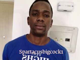 Spartacusbigcock1