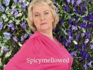 Spicymellowed