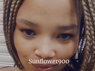 Sunflower900