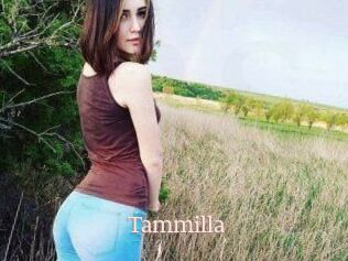 Tammilla_
