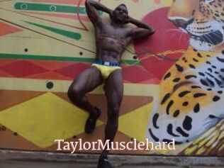 TaylorMusclehard