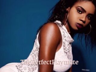 ThePerfectPlaymate
