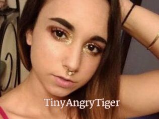 TinyAngryTiger