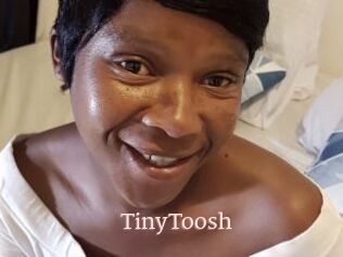 TinyToosh