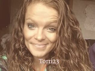 Torri23