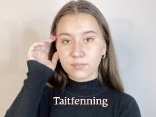 Taitfenning