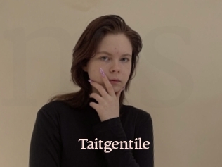 Taitgentile