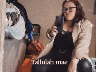 Tallulah_mae