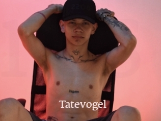 Tatevogel