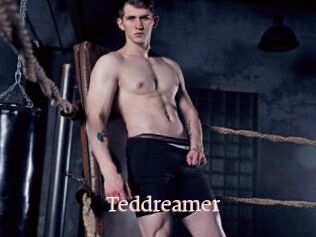 Teddreamer
