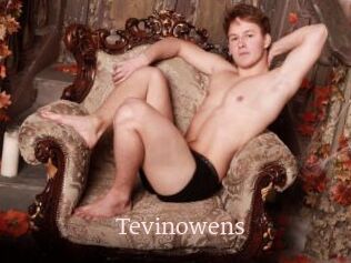 Tevinowens