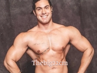 Thebig22cm