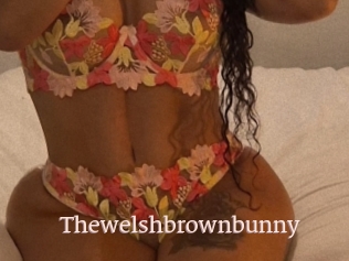 Thewelshbrownbunny