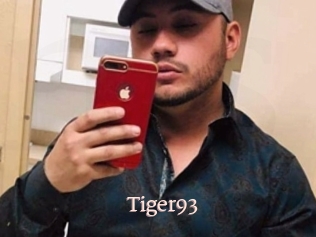 Tiger93