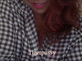 Tigerpussy