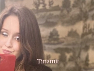 Tinamit