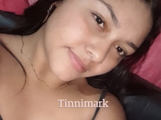 Tinnimark