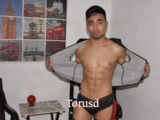 Torusd