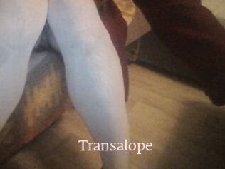 Transalope