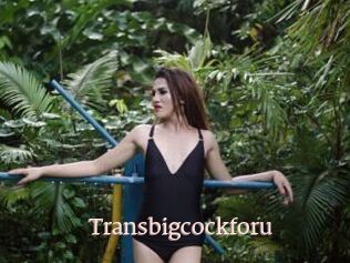 Transbigcockforu