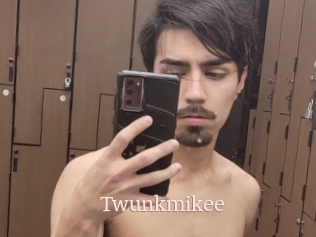 Twunkmikee