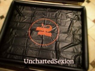 UnchartedSexion
