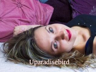 Uparadisebird