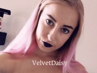 VelvetDaisy