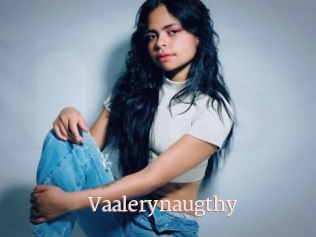Vaalerynaugthy