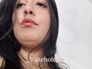 Vaneholmes