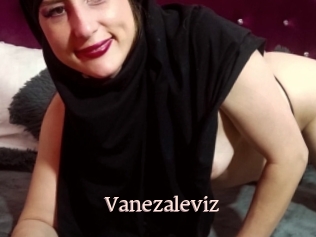 Vanezaleviz