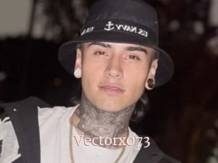 Vectorx073