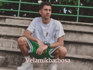 Velamikbarbosa