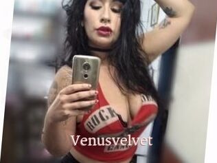 Venusvelvet