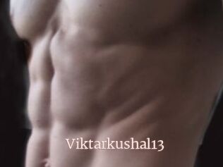 Viktarkushal13