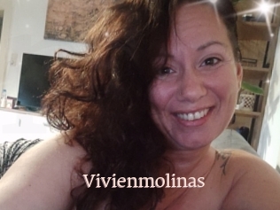 Vivienmolinas