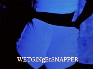 WETGiNgErSNAPPER