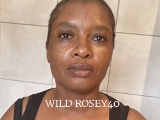 WILD_ROSEY40
