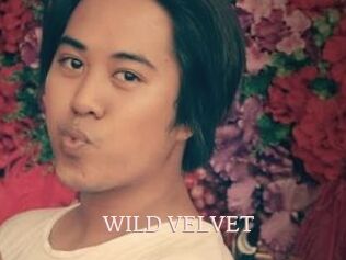 WILD_VELVET