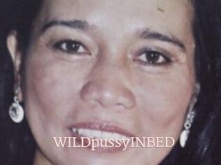 WILDpussyINBED