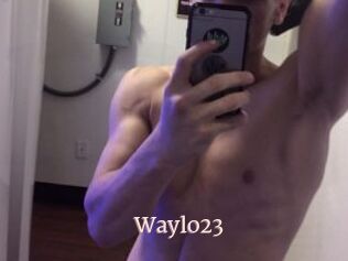 Waylo23