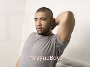 WayneBoyI