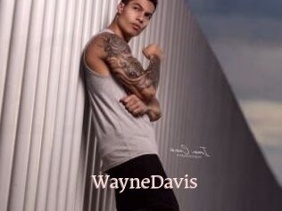 WayneDavis