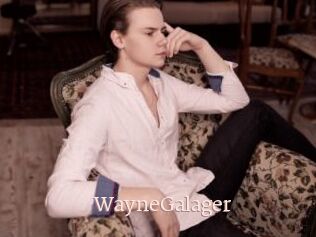 WayneGalager