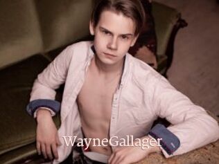 WayneGallager