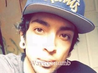 Waytoonumb