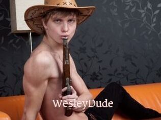 WesleyDude