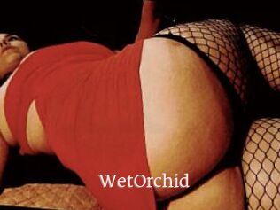 WetOrchid