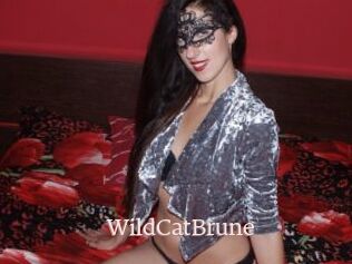 WildCatBrune